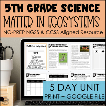 Matter in Ecosystems No Prep Science Packet | Print + Google | 5th