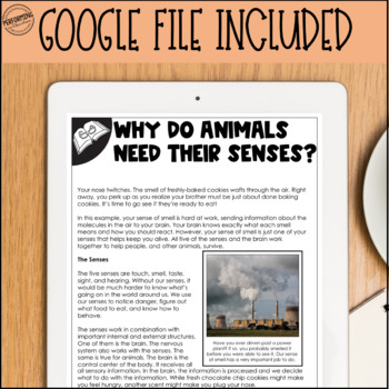 Animal Senses | Structure and Function | Print + Google | 4th Grade Science  – Performing in Education